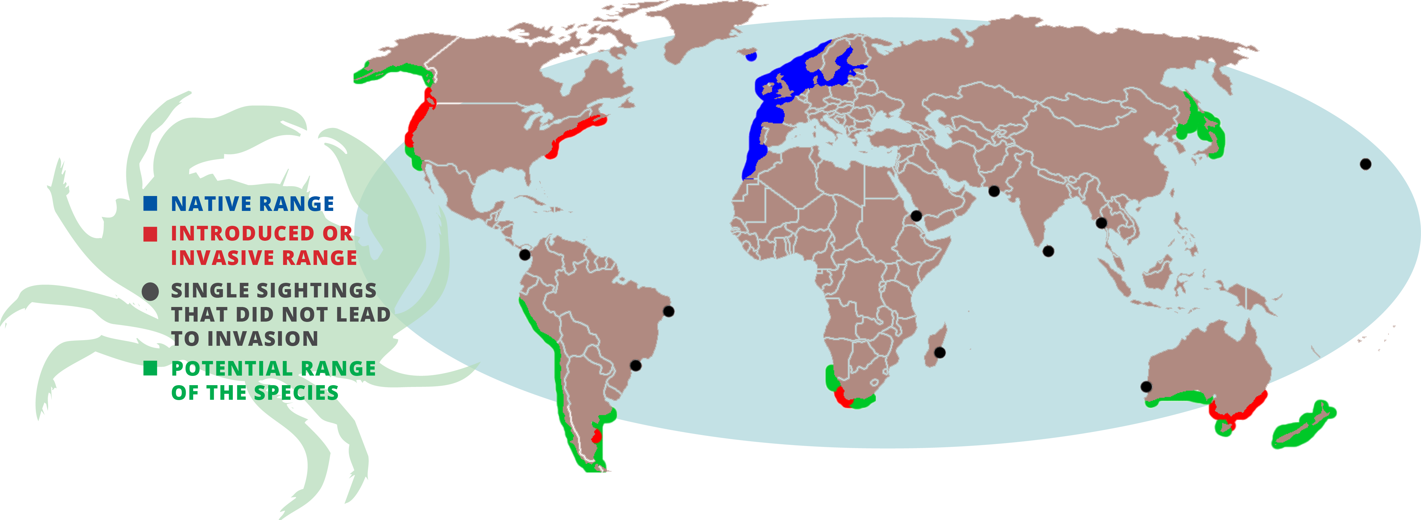 Global distribution of the European green crab